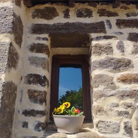 Chez Christiane Tatil Evi *